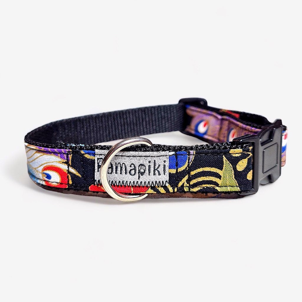 dettaglio di un collare per cani