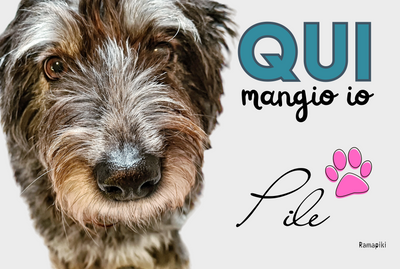 tappeto sotto ciotole con foto personalizzata di un pastore bergamasco