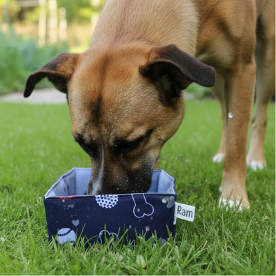 Ciotole pieghevoli da viaggio