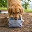 Ciotola pieghevole per acqua taglia grande fantasia Woof - Ramapiki
