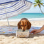 Ciotola pieghevole per cani per acqua e cibo ideale in spiaggia - Ramapiki
