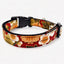collare per cani in stile japan