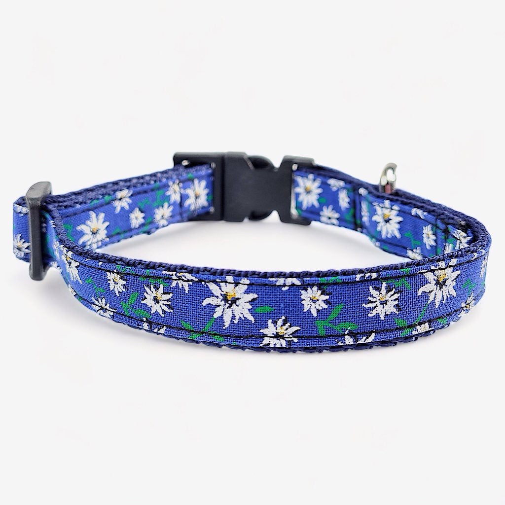 collare per cani con stelle alpine su fondo blu