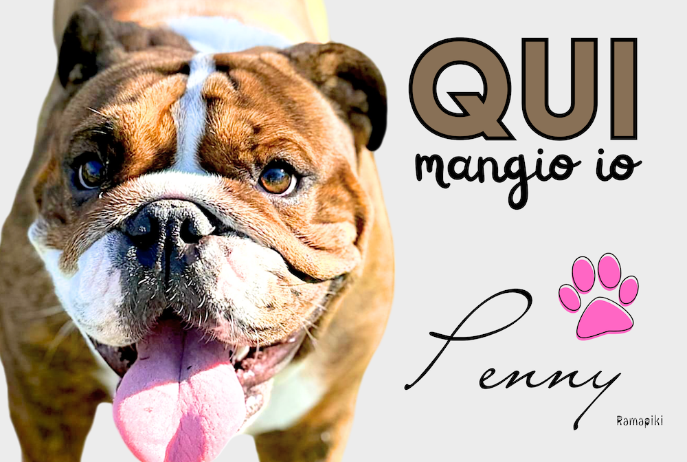 tappeto sotto ciotole con foto personalizzata di un bulldog