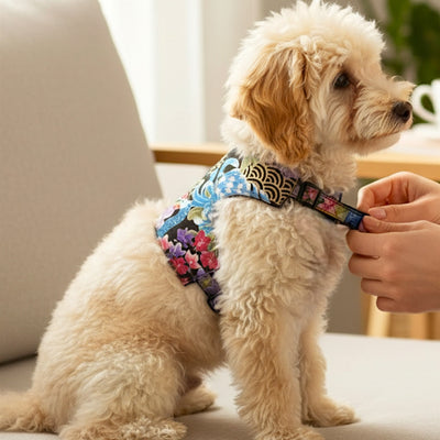 Barboncino indossa pettorina artigianale con fantasia pavone