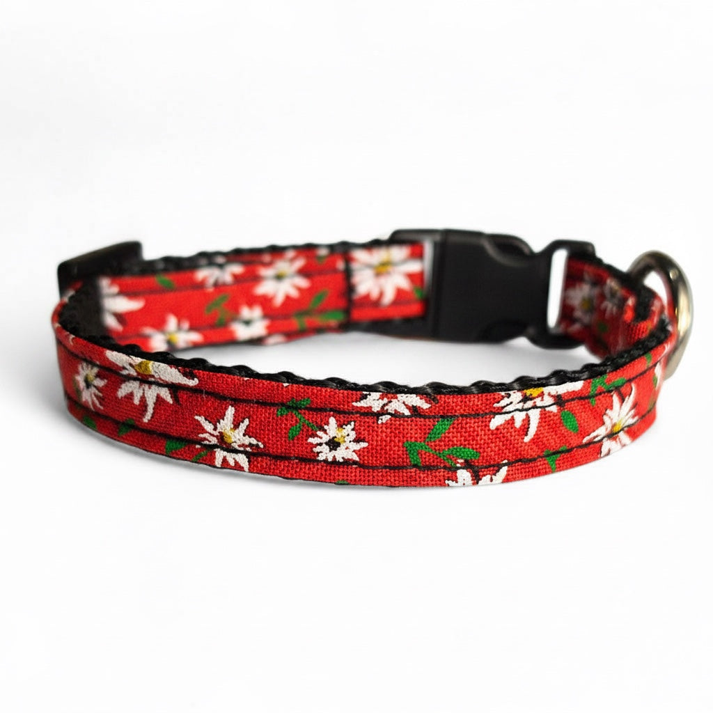 Collare Artigianale per Cani Mini e Toy