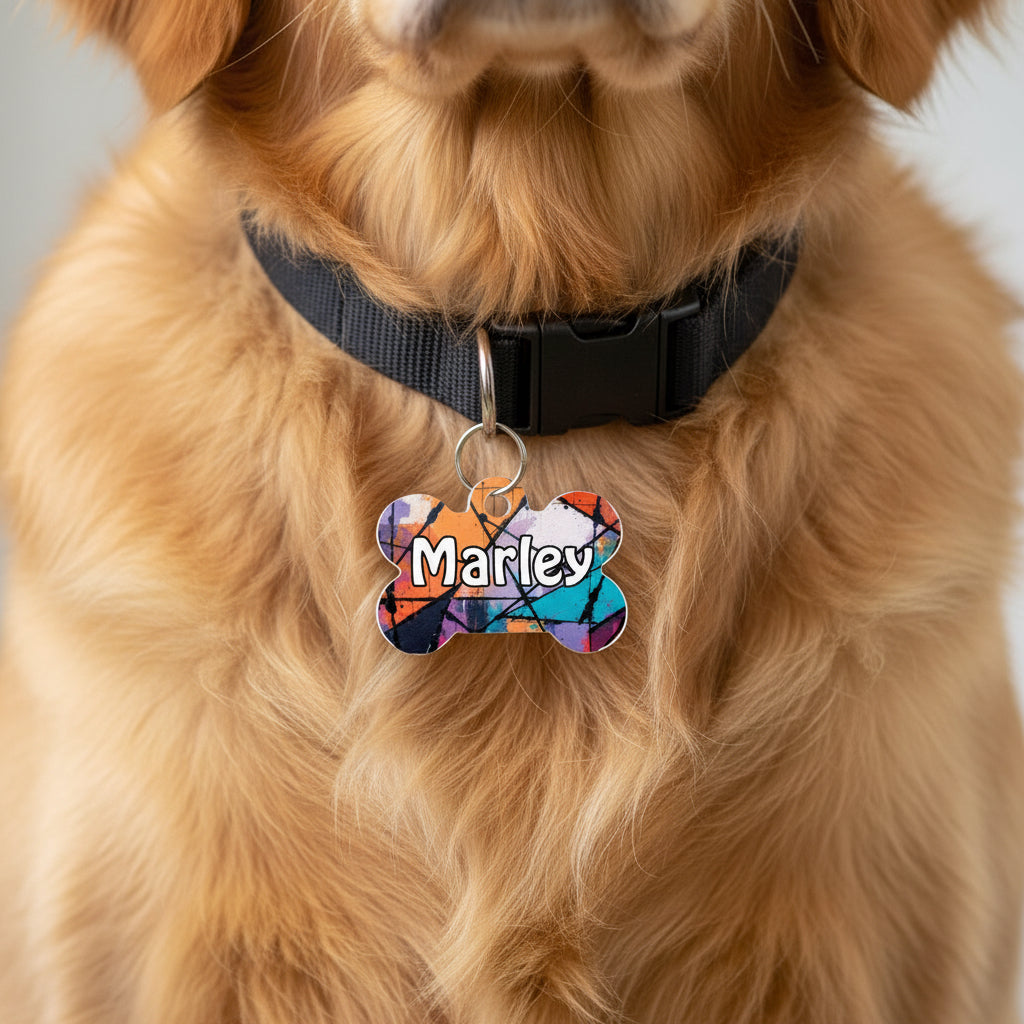 dettaglio di collare con medaglietta