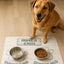 Sottociotole antiscivolo con grafica zampa e ciotole con cane
