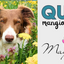 Tappetino sottociotole con foto di cane meticcio e nome Maya personalizzato